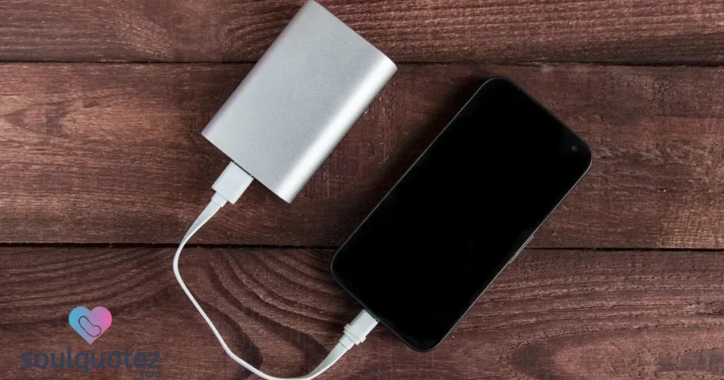 Portable Charger